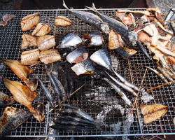 特産品即売会